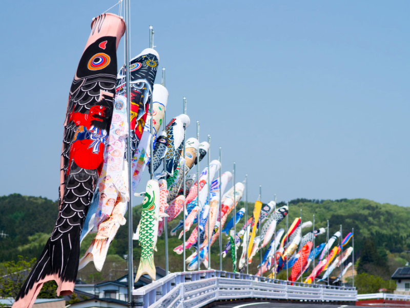 koï nobori géantes et multicolores accrochées le long d’un pont au Japon. Banderoles de carpes japonaises flottantes prises en photo par Yoko-ken-chan au printemps.