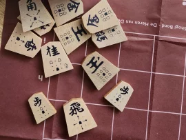 Pièces de Shogi d'initiation avec flèches