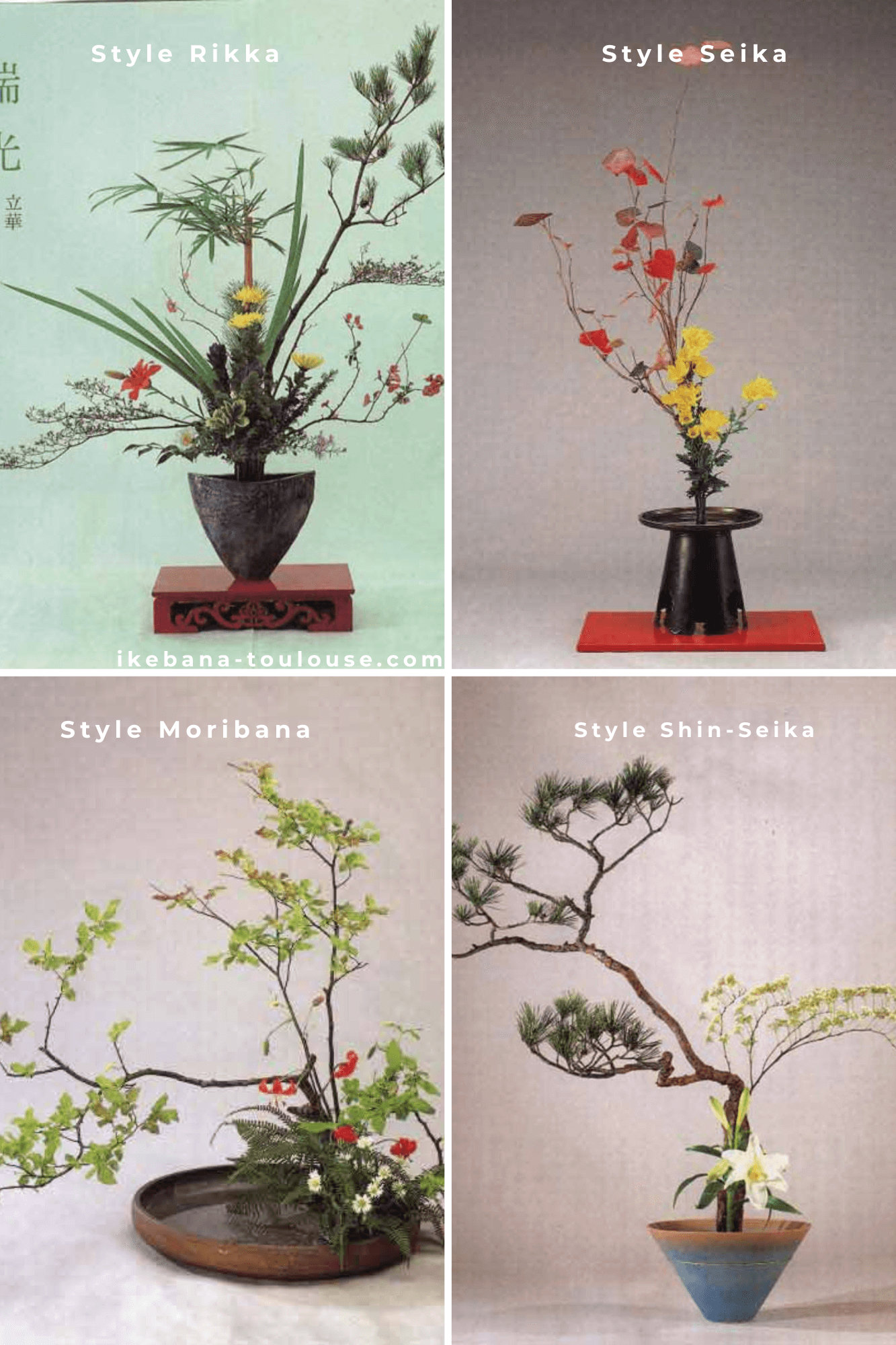 Différents styles d’ikebana et leurs vases