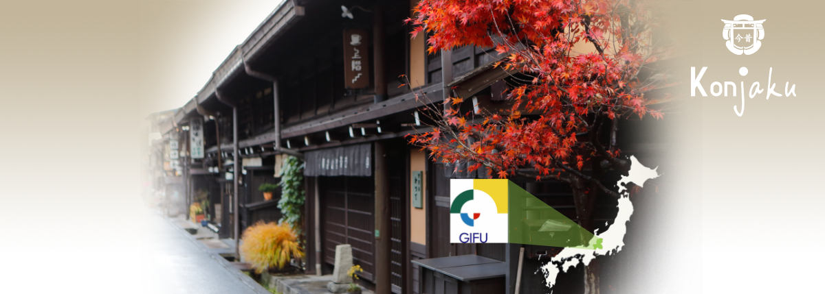 Gifu : Tourisme et artisanat