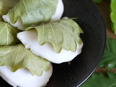 : Pr&eacute;paration de kashiwa-mochi, g&acirc;teau traditionnel de Kodomo no Hi envelopp&eacute; dans une feuille de ch&ecirc;ne - source biojaponaise.com