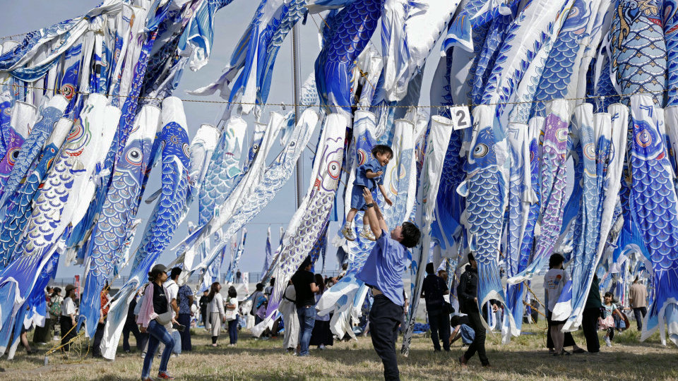 Installation de koinobori g&eacute;ants dans la r&eacute;gion de Yamagata pour le Kodomo no Hi