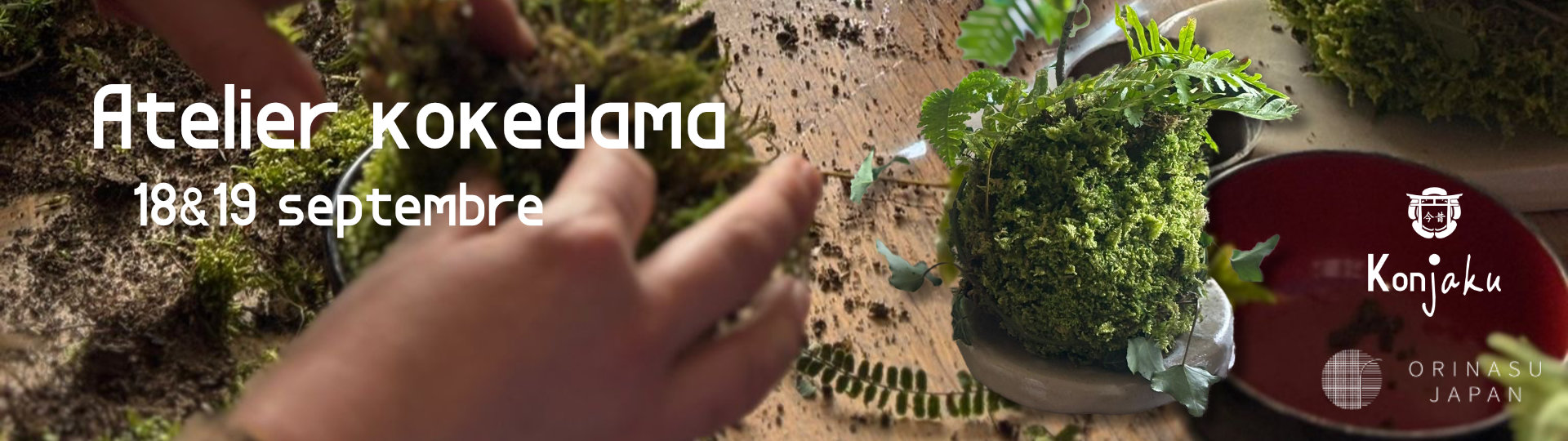 initiation au kokedama, les boules de mousse japonaises - konjaku