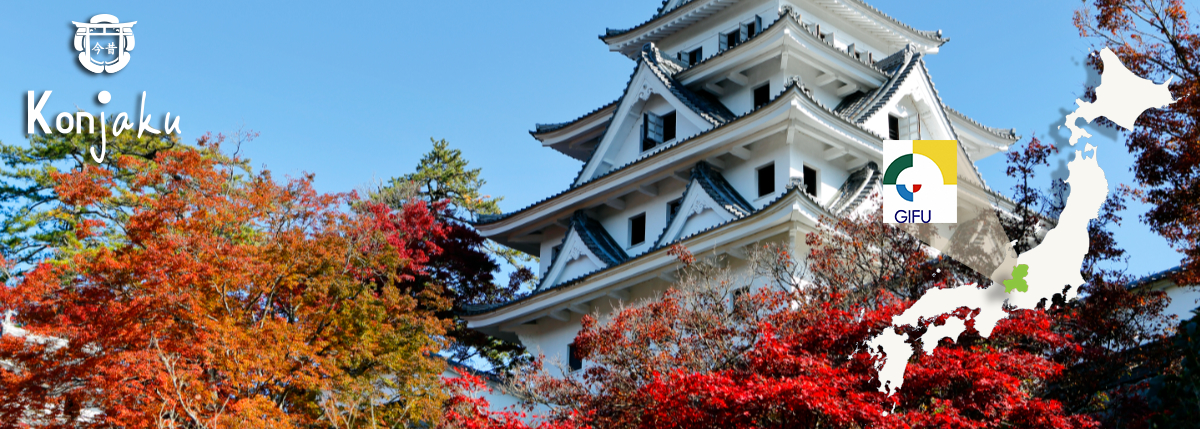 Gifu : destination le vrai Japon