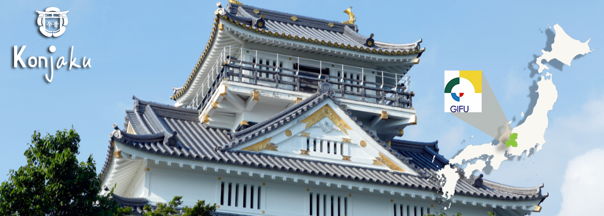 Gifu : destination le vrai Japon