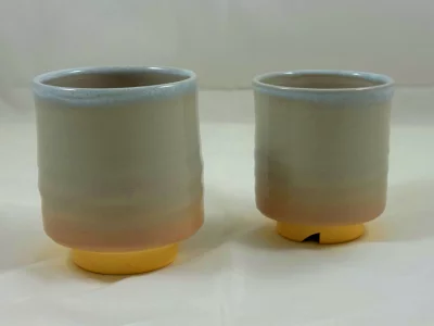 Paire de tasses yunomi hagiyaki "Himehagi"