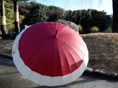Ombrelles et parapluies japonais