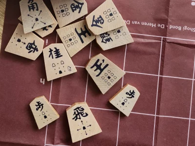 Pièces de Shogi d'initiation avec flèches