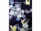 Happi femme "sakura & grues" - navy