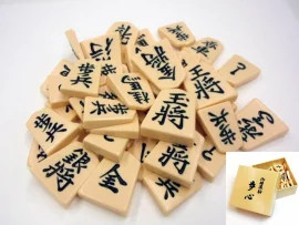Pièces de shogi résine en boite