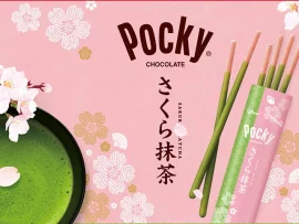 Pocky géant sakura matcha 219g